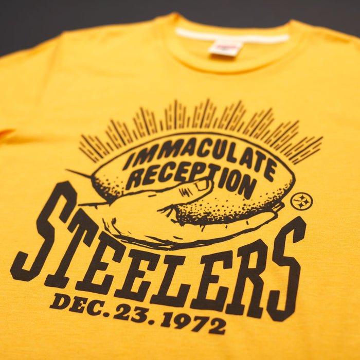 Pittsburgh Steelers Immaculate Reception