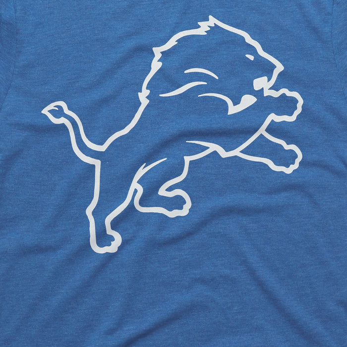 Detroit Lions '17