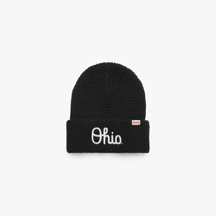 Script Ohio Beanie