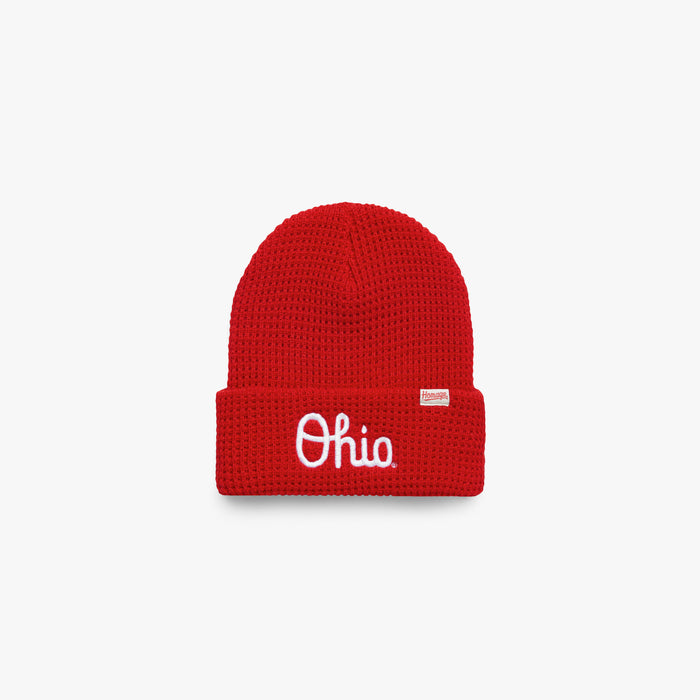 Script Ohio Beanie