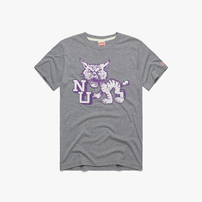 Northwestern University Wildcats